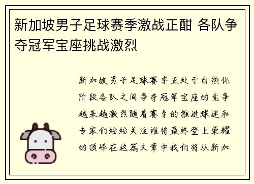 新加坡男子足球赛季激战正酣 各队争夺冠军宝座挑战激烈