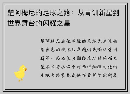 楚阿梅尼的足球之路：从青训新星到世界舞台的闪耀之星
