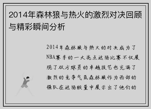 2014年森林狼与热火的激烈对决回顾与精彩瞬间分析